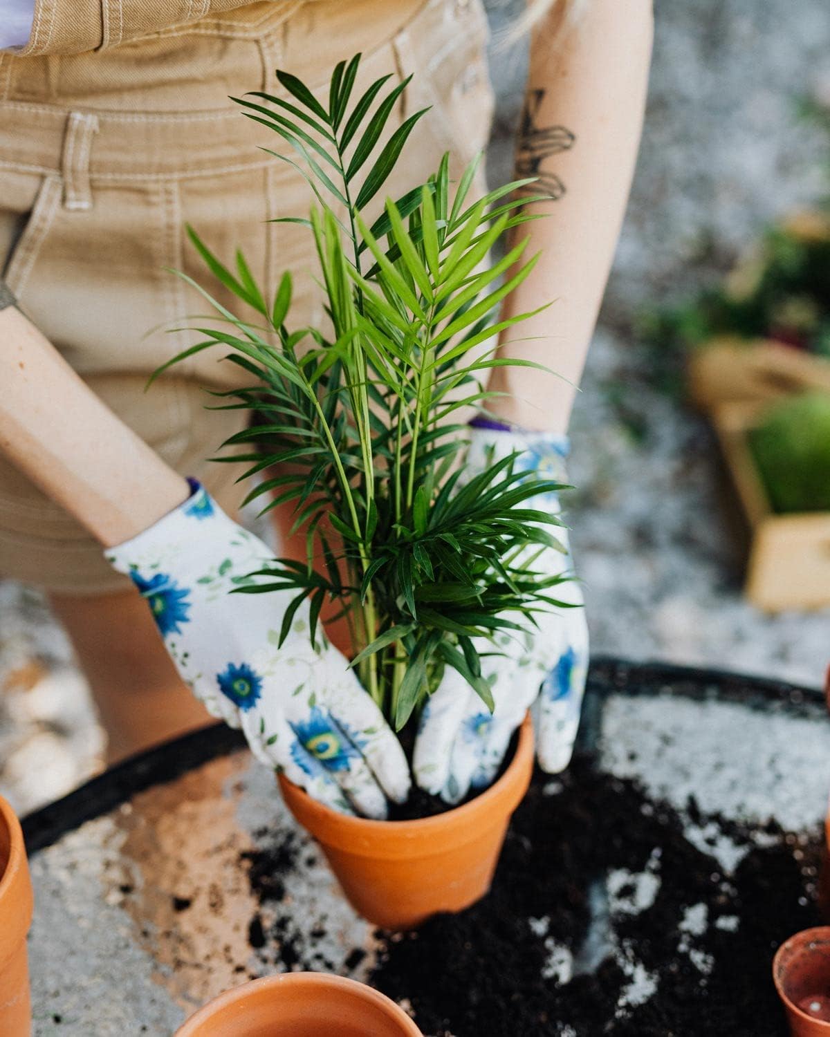 Gardenera's Peace Lily Soil Mix for Thriving Indoor Plants: Hand-Crafted for Optimal Growth [4-Quart Bag]
