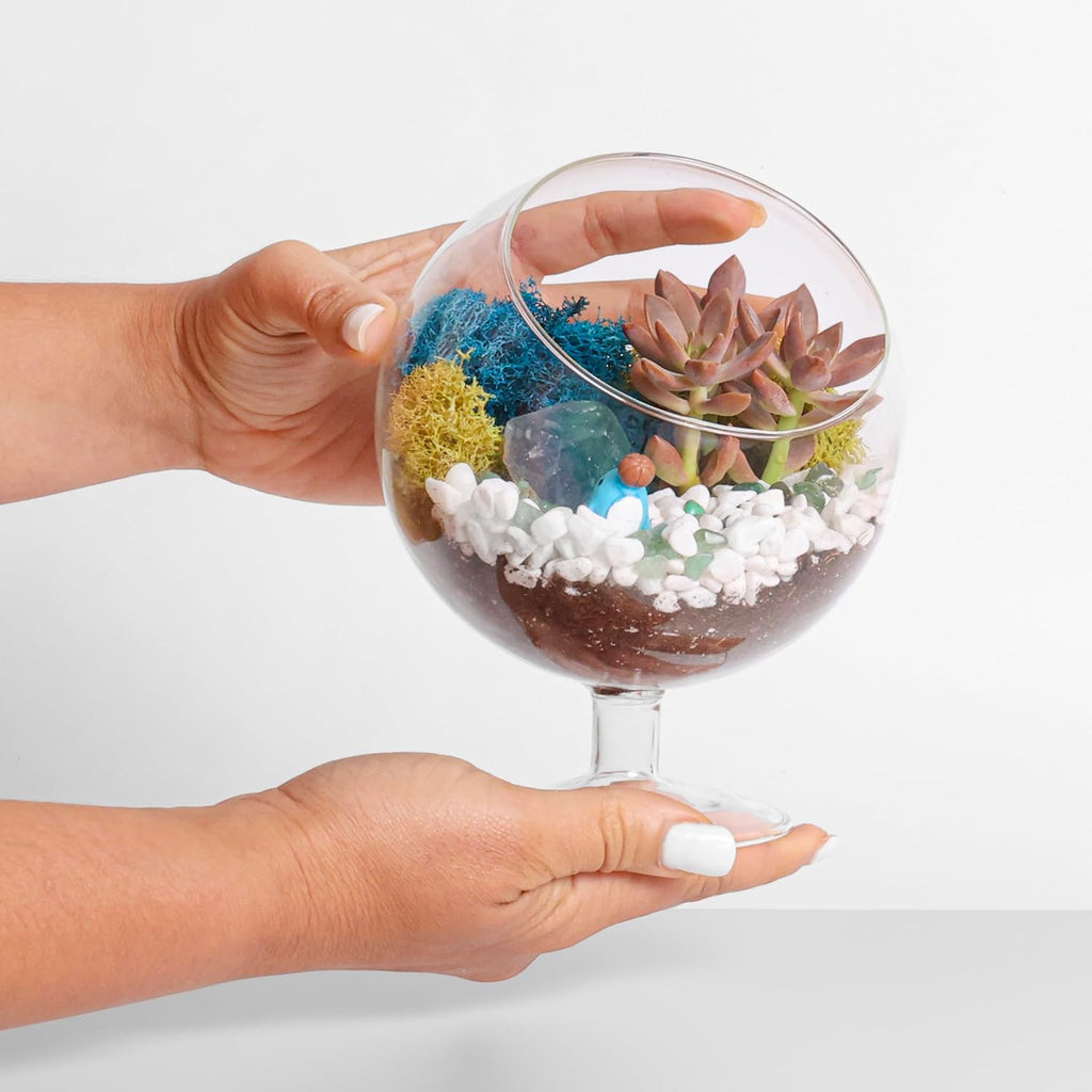 6" DIY Chalice Terrarium Kit with Live Plants - Build Your Own Glass Terrarium for Adults & Kids with Moss, Crystals, Soil, Tools & Figurine - Mini Ecosystem - Made in The USA