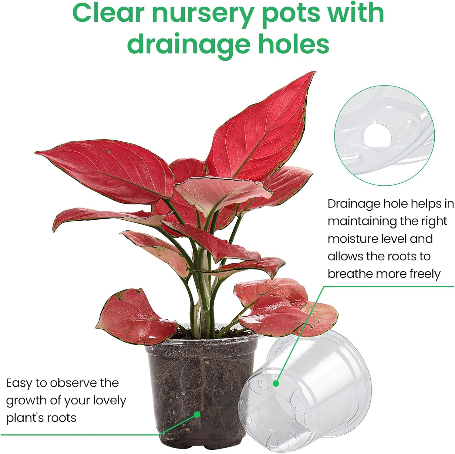 36 Packs 6.7/5/4/3.5 Inch Reinforced Clear Nursery Pots with Drainage Hole, Transparent Variety Pack Plastic Plant Pot Seedling Planter for Vegetable Propagation, Root Cutting, Seed Starting