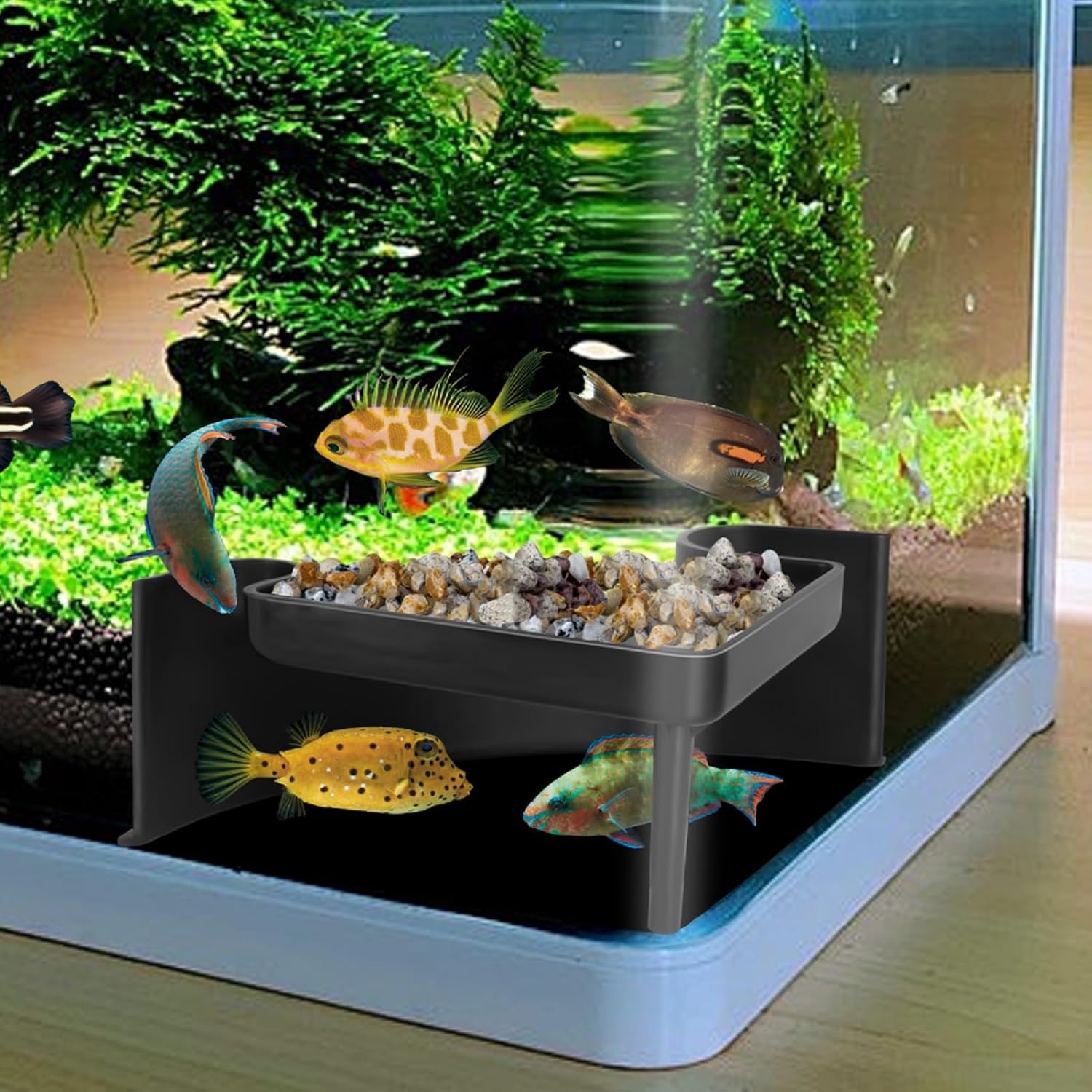 Underground Aquarium Cave with Viewing Window – 2-Hole Corner Fish Tank Hideout for Plecos, Cory Catfish, Kuhli Loach, Shrimp & Betta – Safe Decor for Bottom Dwellers – Sinkable & Non-Toxic