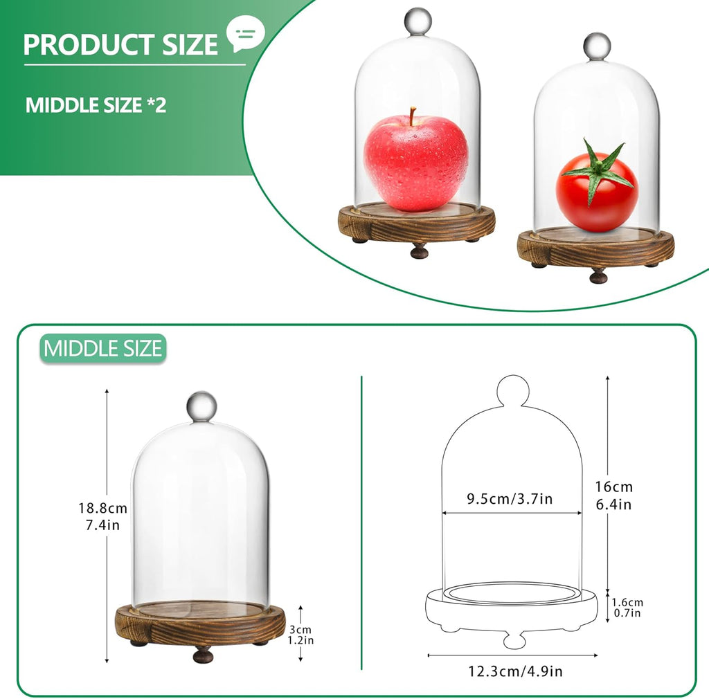ZEERSHEE 2pcs Glass Cloche Display Dome 6.4x3.7 inch Decorative Glass Display Bell Jar Centerpiece Display Case for Wedding Decor