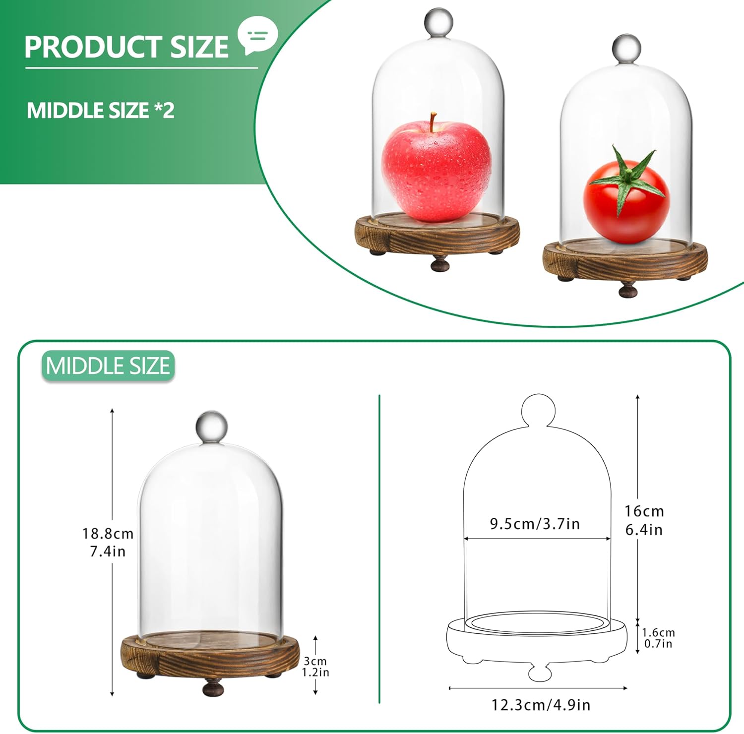 ZEERSHEE 2pcs Glass Cloche Display Dome 6.4x3.7 inch Decorative Glass Display Bell Jar Centerpiece Display Case for Wedding Decor