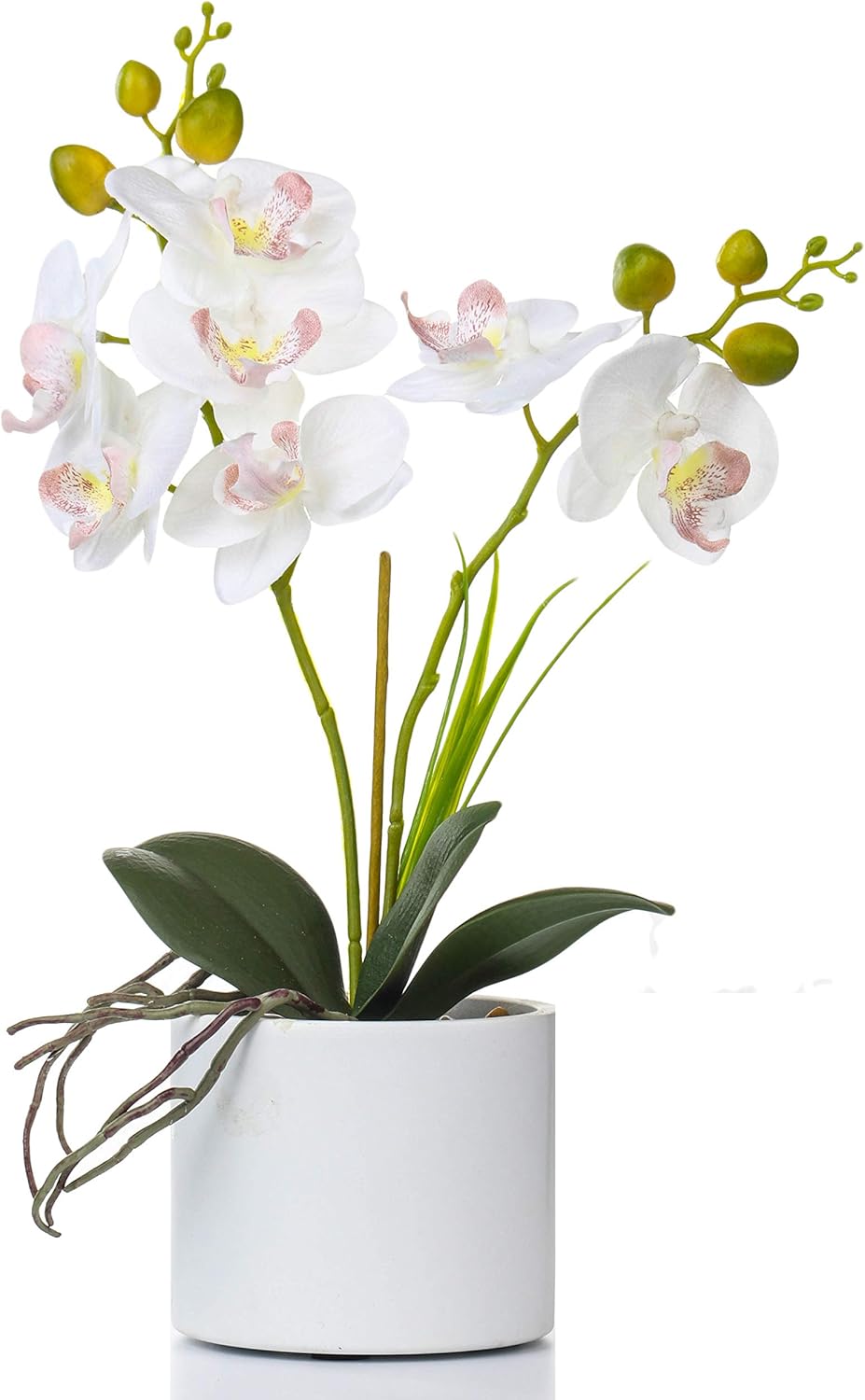 Jusdreen Artificial White Orchid in Ceramic Pot, Realistic Phalaenopsis Arrangement with Potting for Home Office Table Decor, 14.5 Inch Flower Centerpiece
