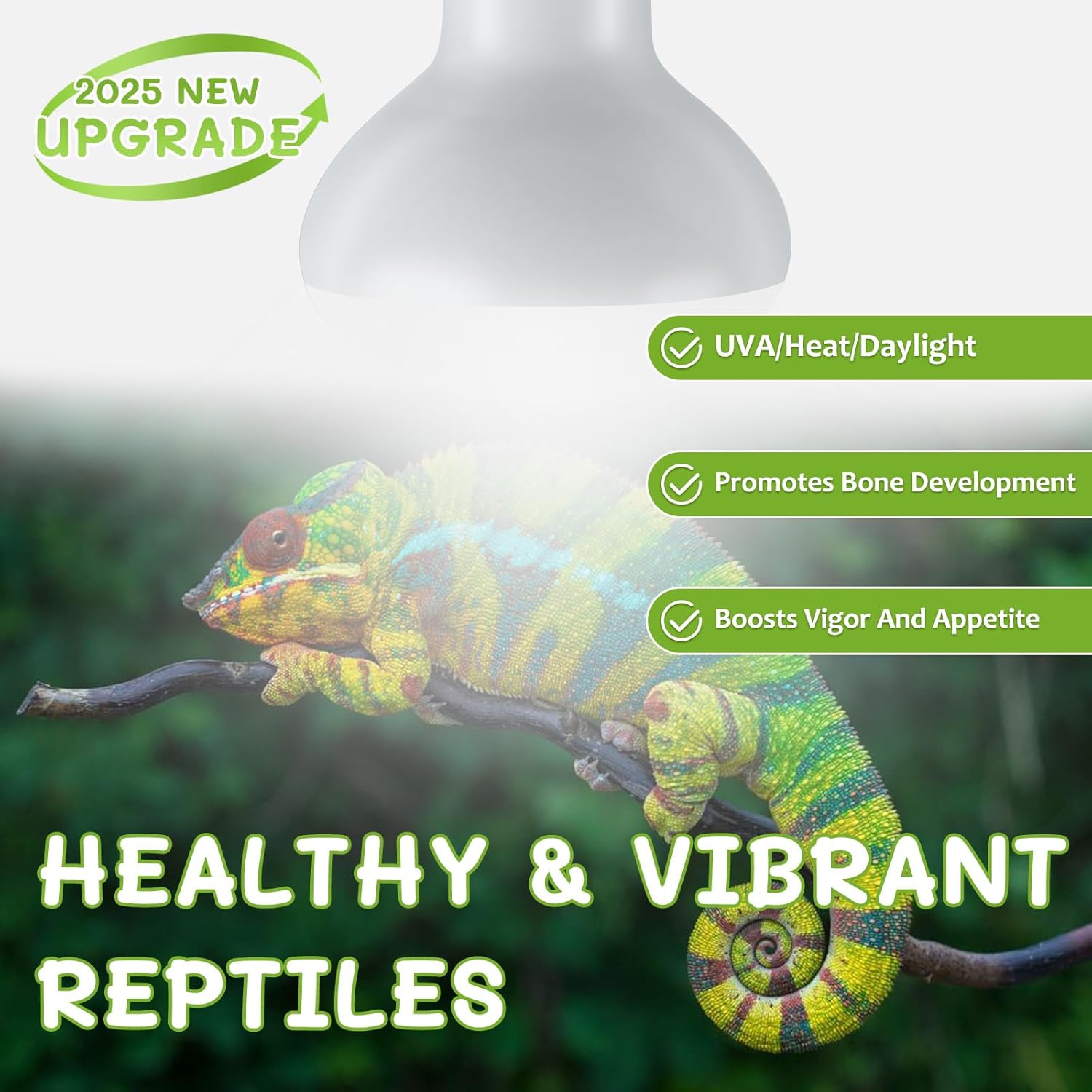 Reptile Heat Lamp Bulbs, Simulate Natural Sunlight Heat Light Bulb, 2 Pack 75W Amphibian Terrarium Basking Spot Lamp for Reptile, Bearded Dragon, Lizard, Turtle, Snake