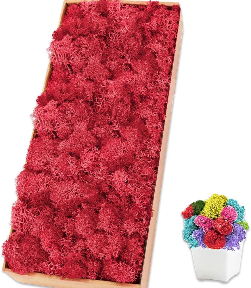 Preserved Reindeer Moss 17.6 OZ Red Natural for Crafts, DIY Gift Christmas Decor, Wall Art, Potted Plants, Floral Fake Moss for Easter Table Decor Wedding Decorative(1.1 LB, Red)