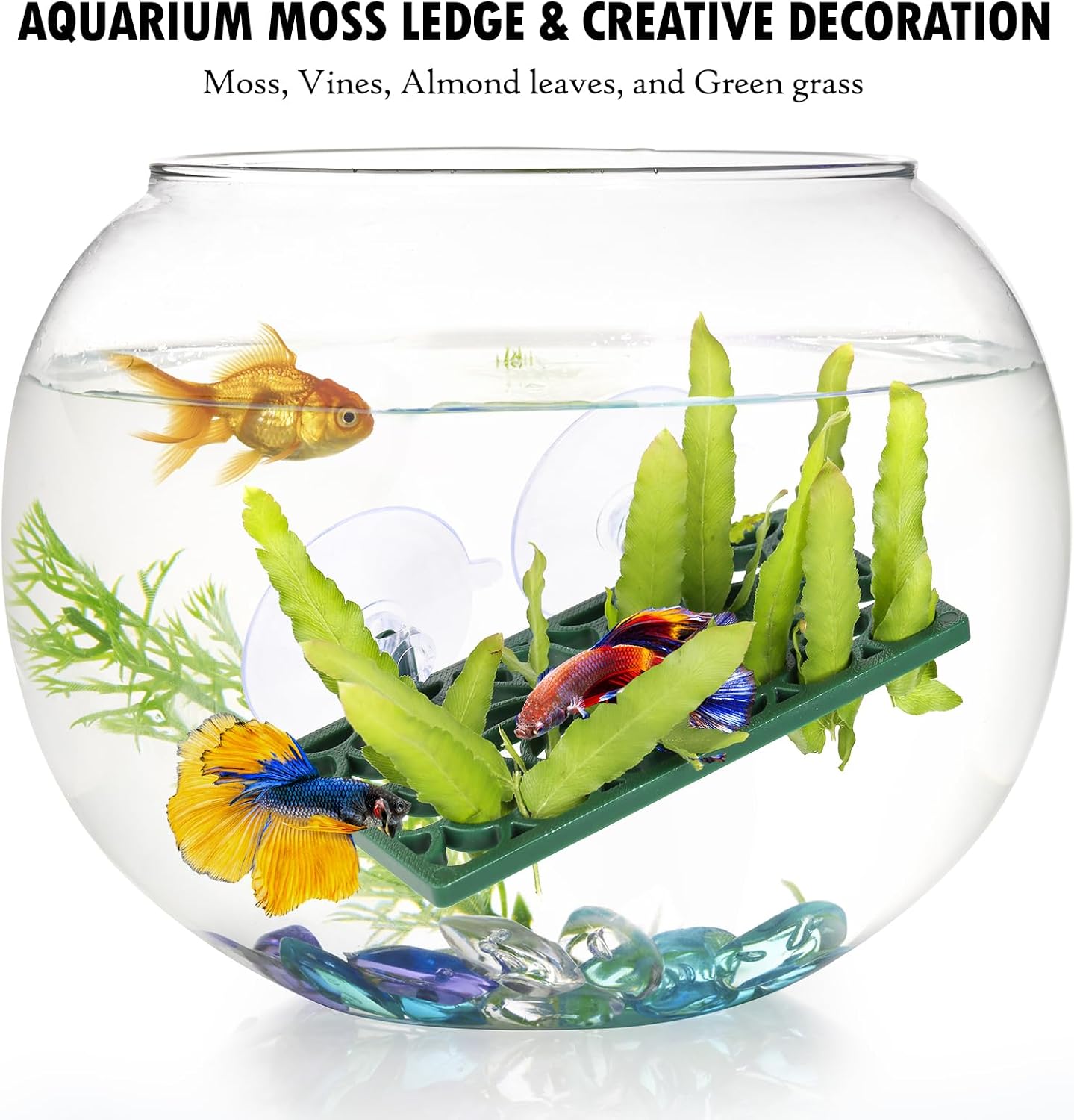 Abizoo Betta Fish Tunnel Hideout and Hammock Bed for Fish Aquarium Decoration, African Dwarf Frog Tank Accessories Hollow Design Habitat Cave for Betta Shrimp Guppies Neon Tetras Zebra Danios Snails
