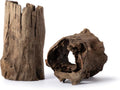 Galapagos (05550) Hollow Log Hide Terrarium & Aquarium Décor Fish Tank Hideout Eucalyptus Wood Medium 6” – 8”