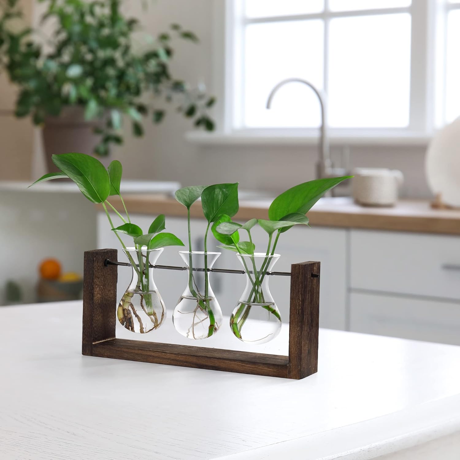 YIBOT Wall Hanging Planter Propagation Station Glass Flower Vase for Hydroponics Plants, Plant Terrarium with Wooden Stand, Bathroom, Home Office Living Room Decor Gift