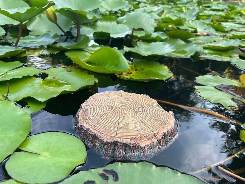 AQUA KT Aquatic Turtle Round Floating Dock Tortoise Bearded Dragon Basking Platform with Suction Cup for Reptile Aquatic Aquarium Decoration