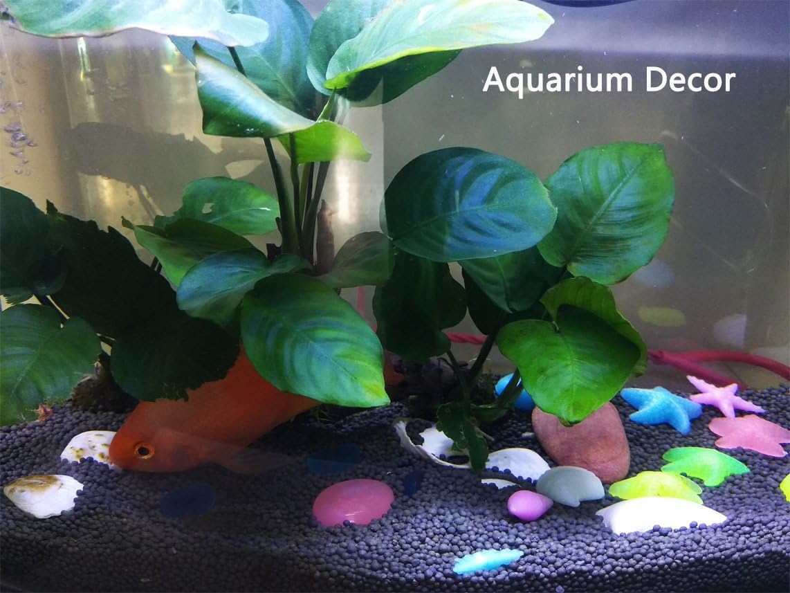 Aquarium Rocks, Can Glow in The Dark After Daily Exposure to Light, Cute Sea Item Shaped Decor Stones for Fish Bowl, Garden, Ponds, Handmade Crafts, Non-Toxic Colorful Fish Tank Substrate