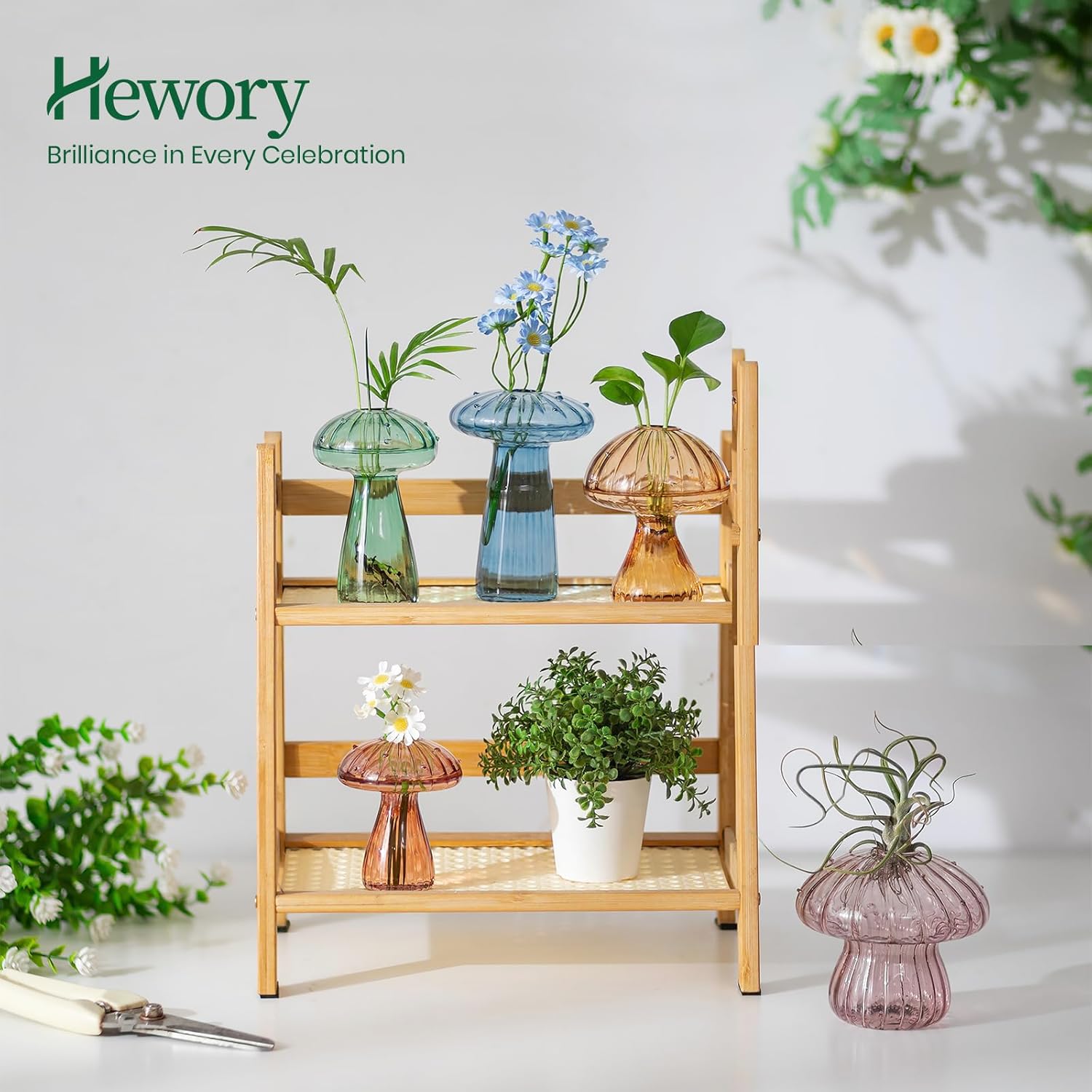Hewory Glass Mushroom Propagation Stations: Set of 10 Unique Propagation Jars Glass Planter for Indoor Plants Home Decor - Colorful Mushroom Vase Christmas Birthday Gifts for Plant Lovers Women Girls