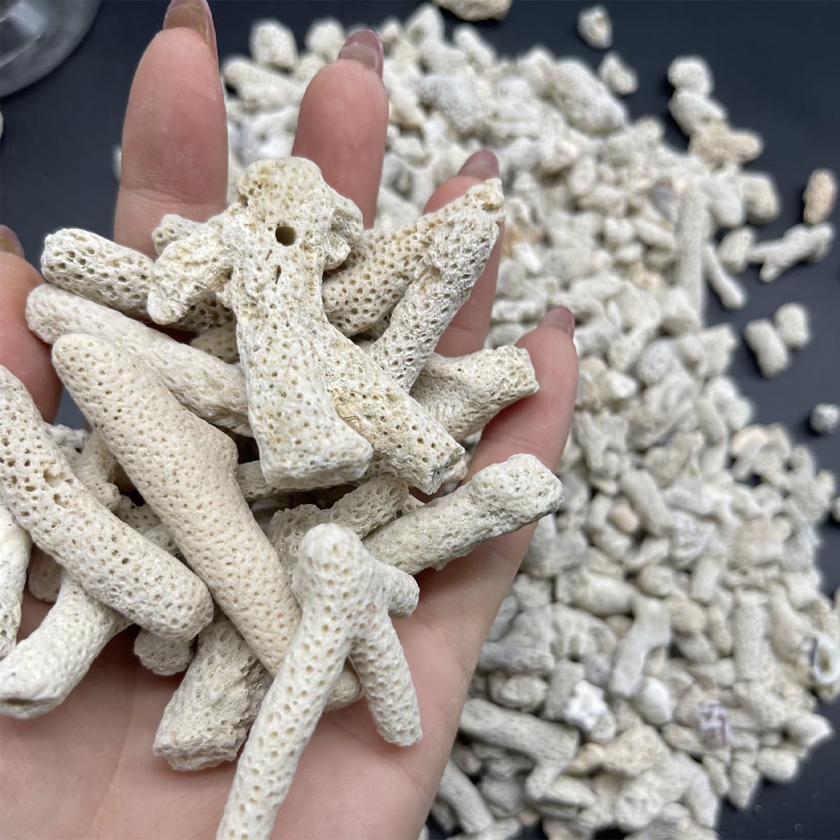 1.1 LB Coral for Fish Tank Filter,Crushed Coral for Aquarium,Pond Filter for Aquarium - Crushed Coral for Freshwater Aquarium,Aquarium Filter, Coral Stones, Each One is Hand Selected