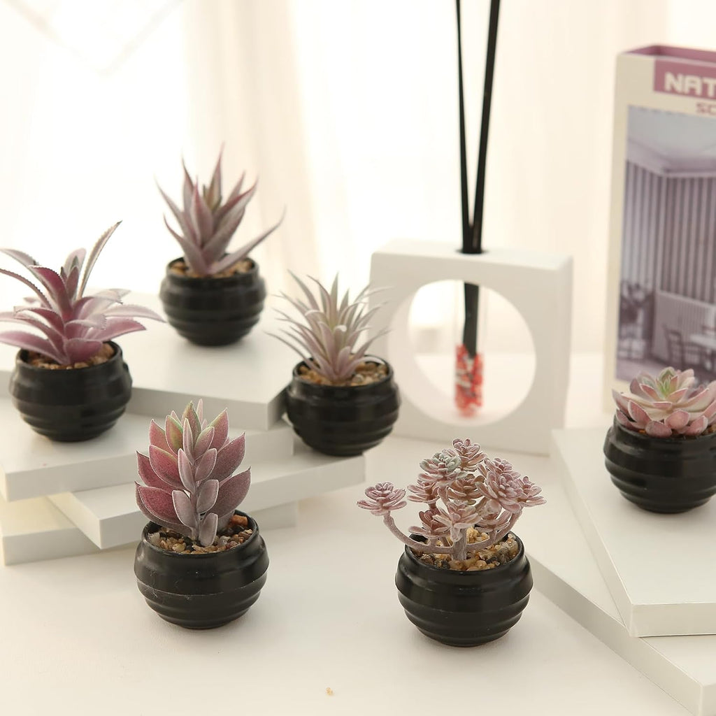 GREENTIME 6 Pcs Purple Artificial Succulent Plants in Mini Black Plastic Pots Small Fake Succulent Plant Faux Indoor Decor Bedroom Desk Bathroom Office Living Room Table Shelf Home Decoration