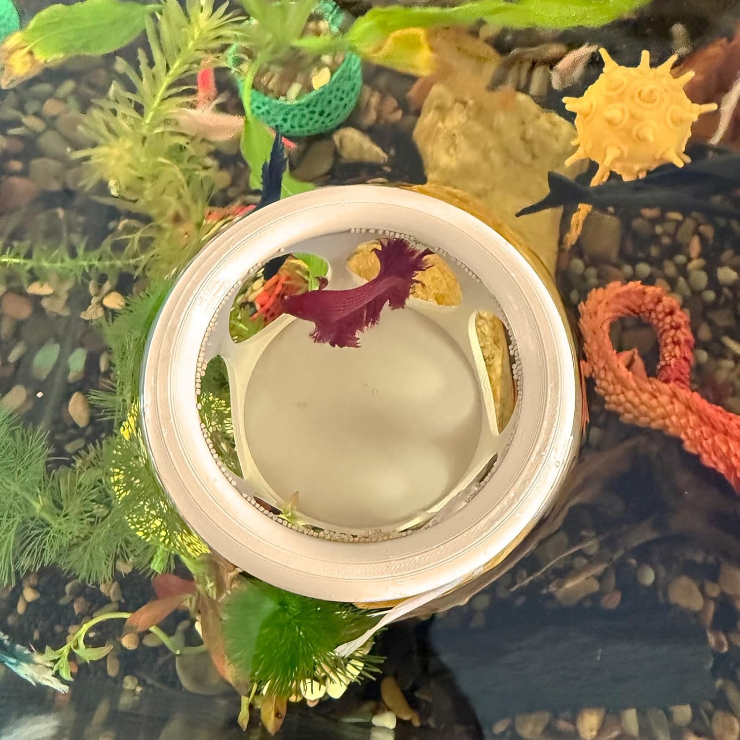 Floating Betta Fish Hideaway, Aquarium Suspended Resting Spot, Feeder for Small Fish and Shrimp, 3D Printed, Decorative Floating Cave Accessory for Aquariums. (Wood Color)