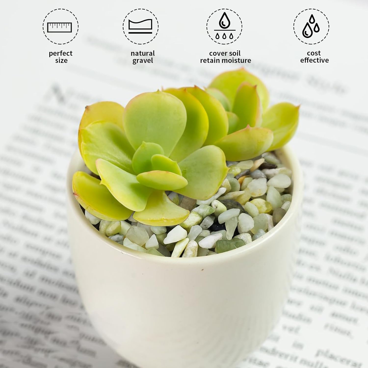 2 lbs Jade Rocks for Plants Indoor, 1/4 inch Small Pebbles for Plants, Decorative Rocks for Succulents Cactus Vases Landscaping Drainage and Outdoor Garden Rocks