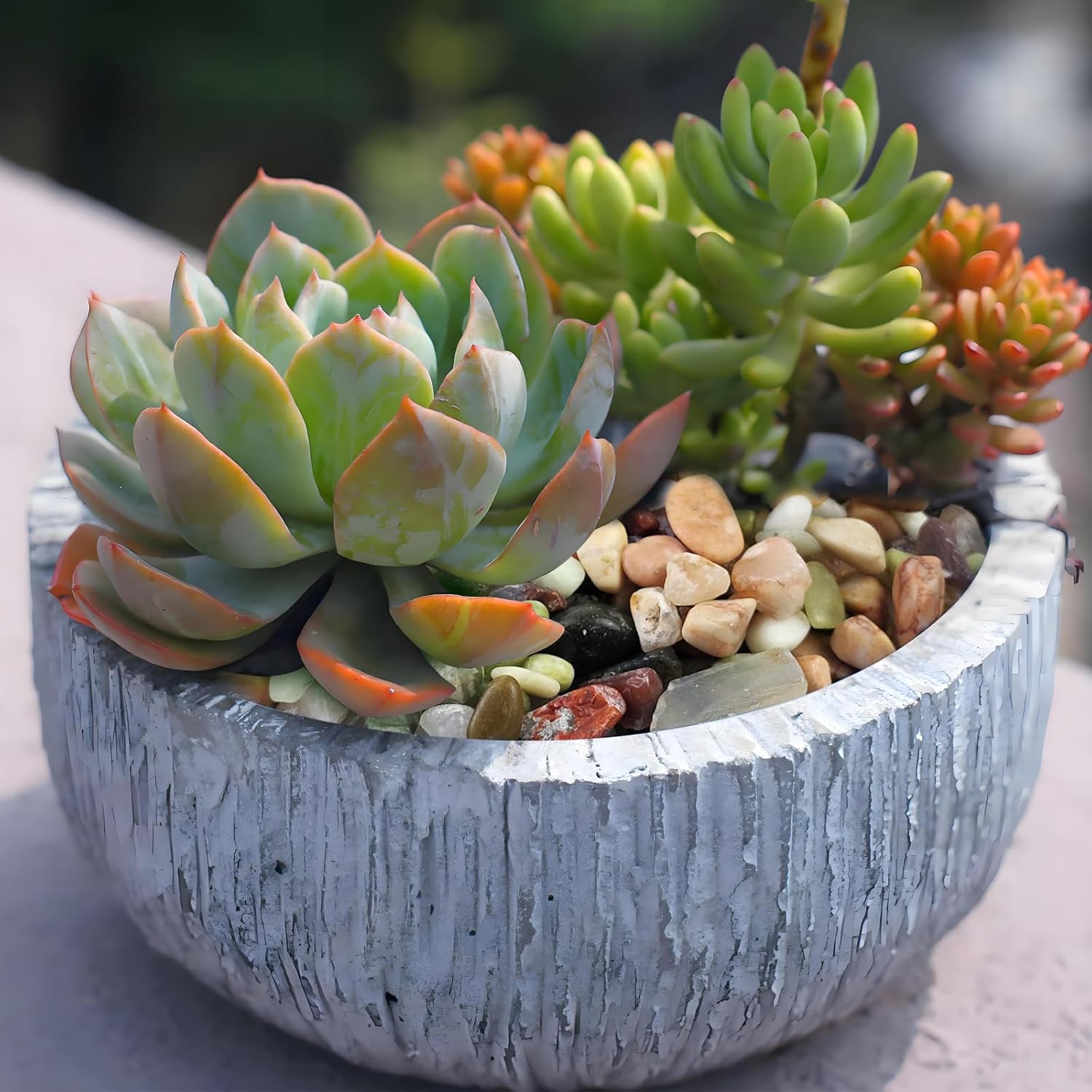 5lbs Small Succulent Rocks, 3/8 Inch Colorful Pebbles for Plants, Decorative Rocks for Plants Indoor, Vases, Planters and Outdoor Gardening Stones