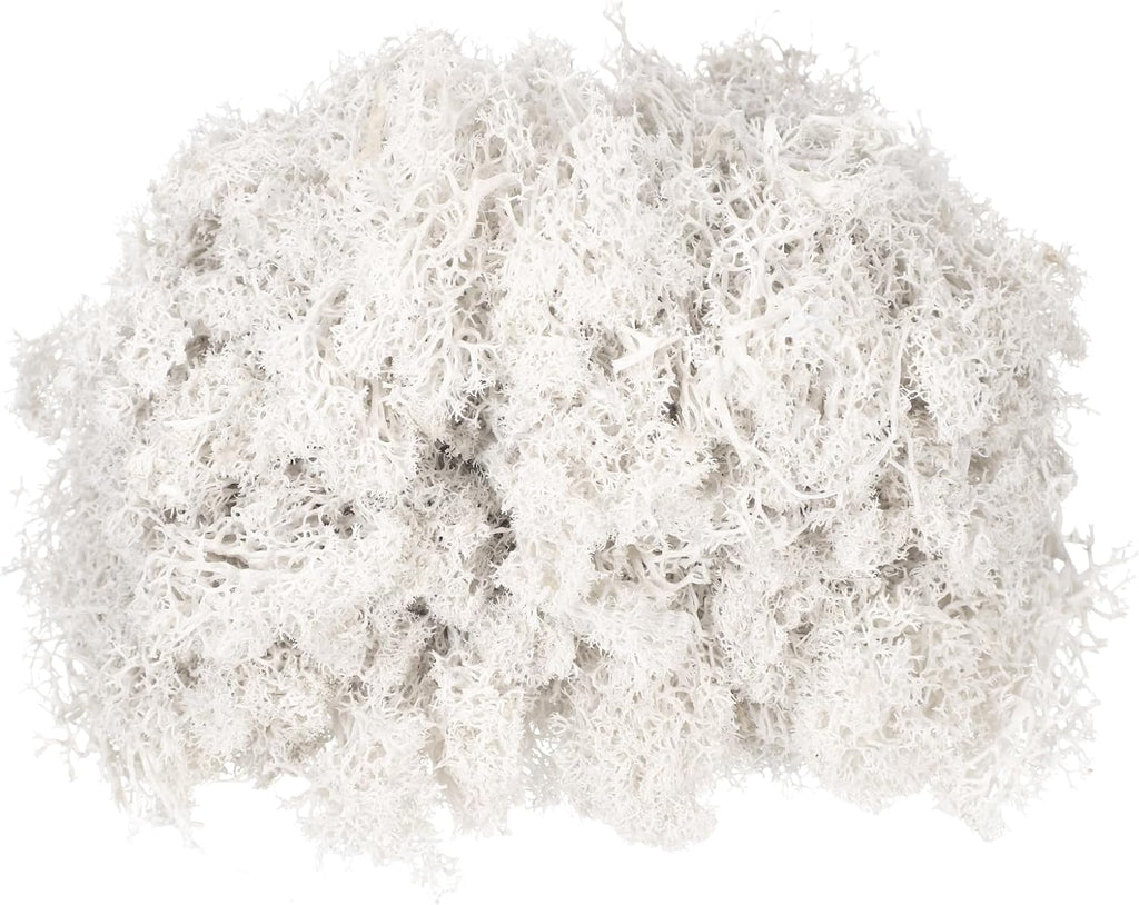 MECCANIXITY 3 oz Preserved Reindeer Moss, White Decorative Artificial Fake Moss for Potted Plants Indoor Crafts Lichen Centerpieces Decor