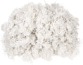 MECCANIXITY 3 oz Preserved Reindeer Moss, White Decorative Artificial Fake Moss for Potted Plants Indoor Crafts Lichen Centerpieces Decor