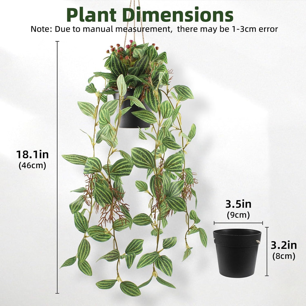 2 Pcs Artificial Hanging Plants Realistic Watermelon Texture Fake Peperomia Leaves Faux Potting Vine Green Plants for Indoor Outdoor Home Garden Decor