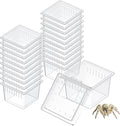 Pawfly 20 Pcs Mini Spider Terrarium Breeding Box, Transparent Plastic Jumping Spider Enclosure Cricket Keeper Tarantula Enclosure, Small Reptile Hatching Container for Scorpion Centipede Gecko Mantis
