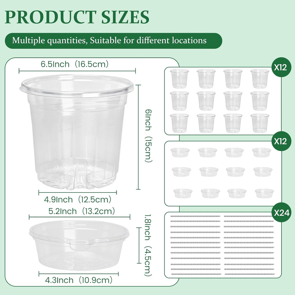 12 Pack 6.5 Inch Clear Self Watering Plant Pots with Bottom Water Tray & Watering Rope, Transparent Nursery Pots with Drainage for Seedlings, Herbs, and Houseplants