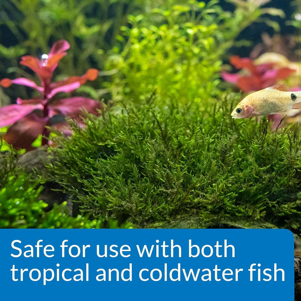 API Root TABS Freshwater Aquarium Plant Fertilizer 0.4-Ounce 10-Count Box (Pack of 2)