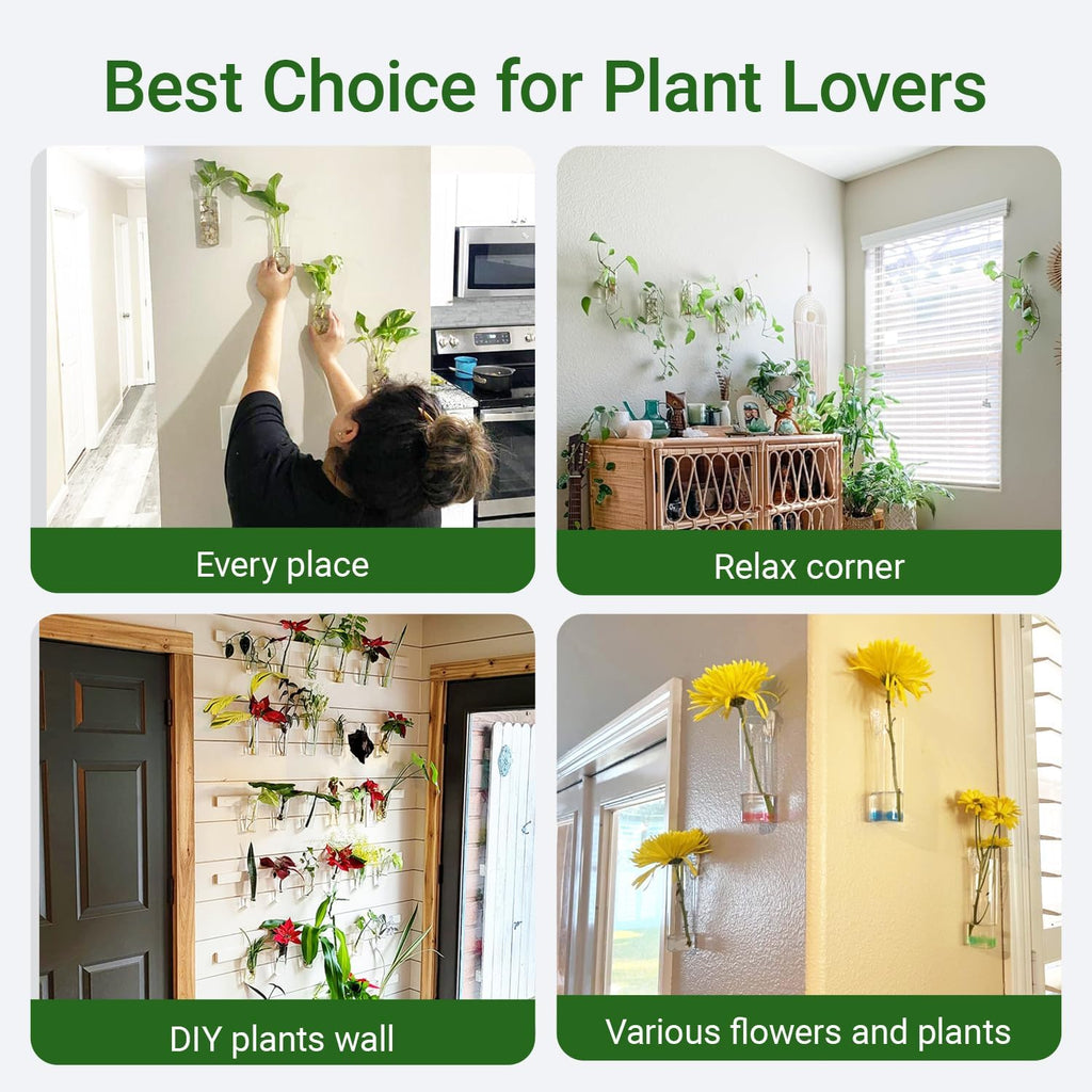 Propagation Station, Plants Terrarium, Plants Lover Gifts for Women,Plant Cutting Holder Home décor,Gifts for Women,House Warming New Home-4 Cylinder Shape
