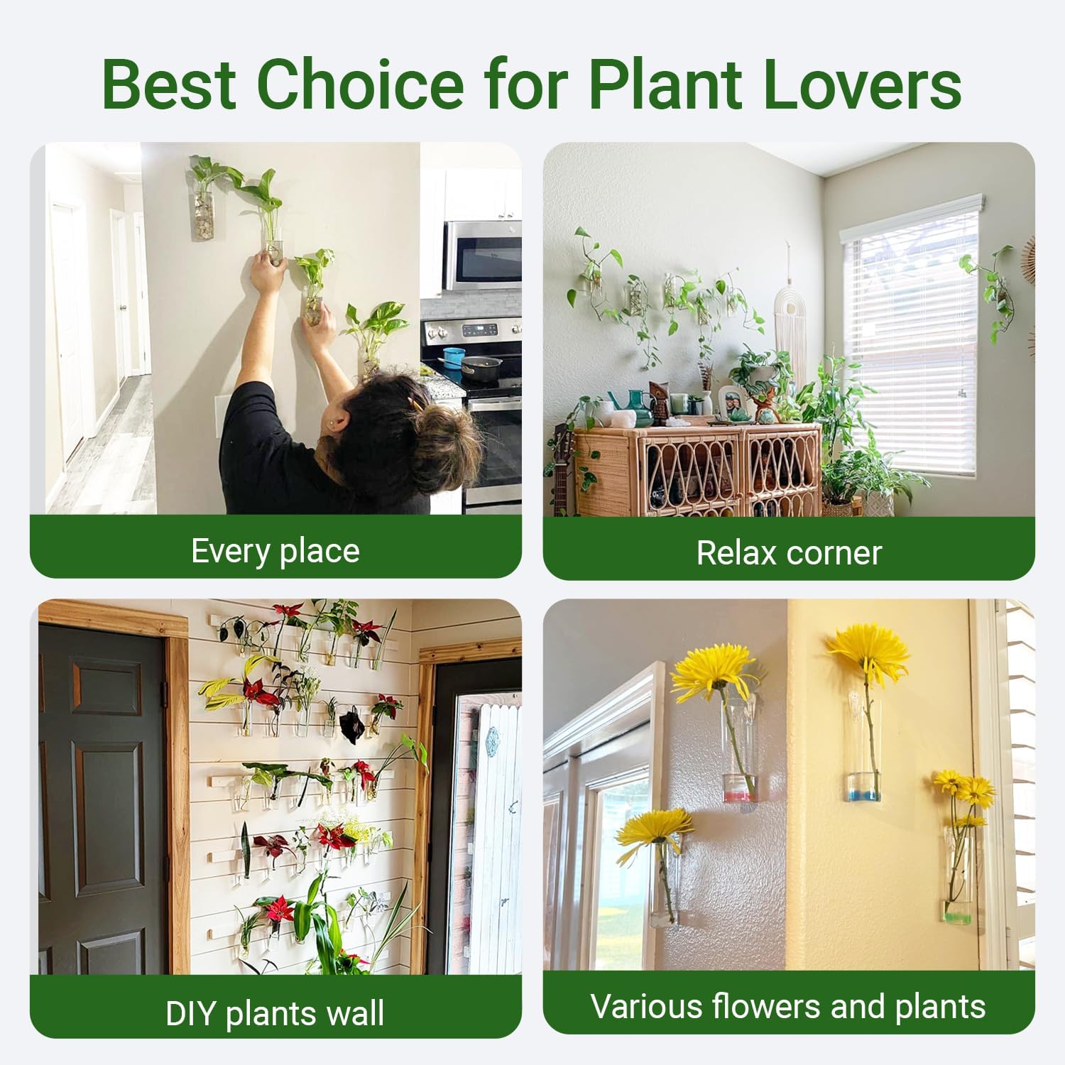 Propagation Station, Plants Terrarium, Plants Lover Gifts for Women,Plant Cutting Holder Home décor,Gifts for Women,House Warming New Home-4 Cylinder Shape