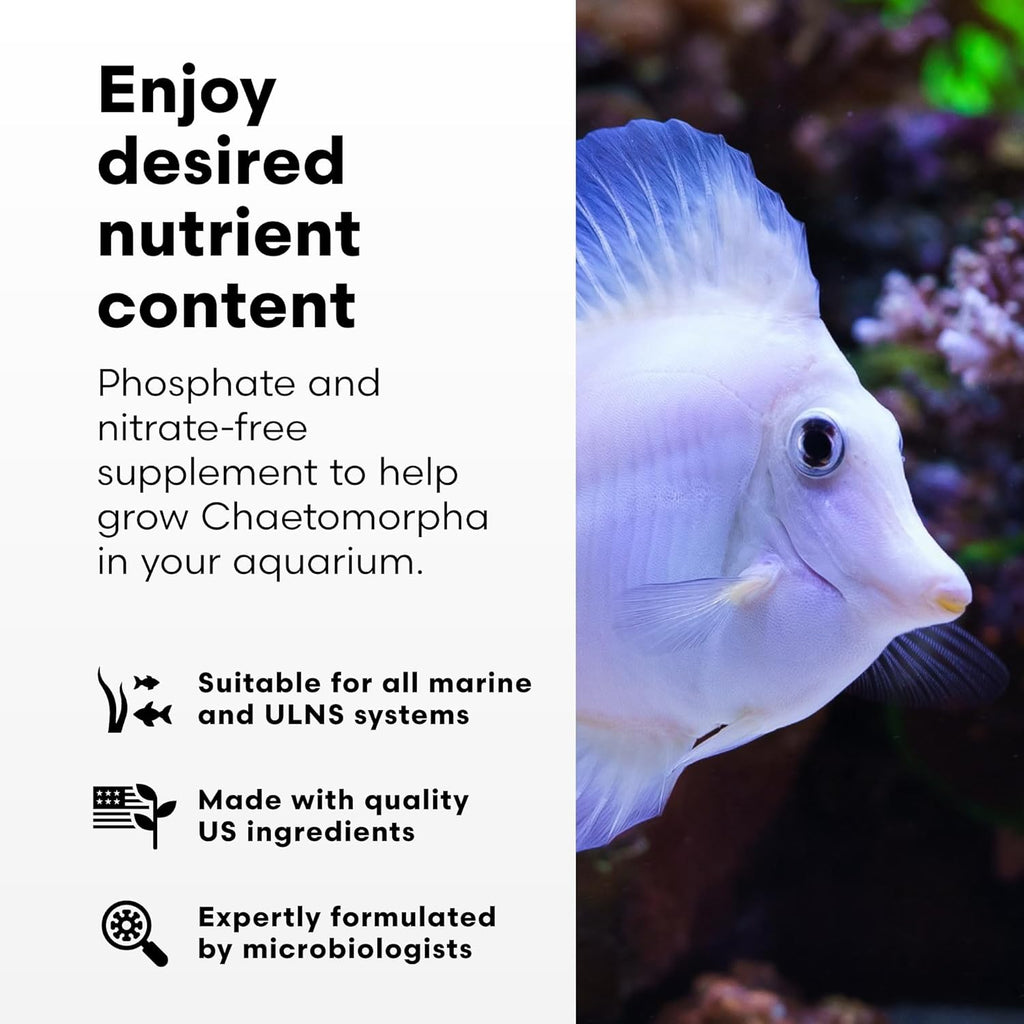 Brightwell Aquatics - ChaetoGro - Algae Nutrient Supplement for Chaetomorpha Growth in All Marine Fish Tanks - Multi-Nutrient Aquarium Water Treatments, 16.9 fl oz