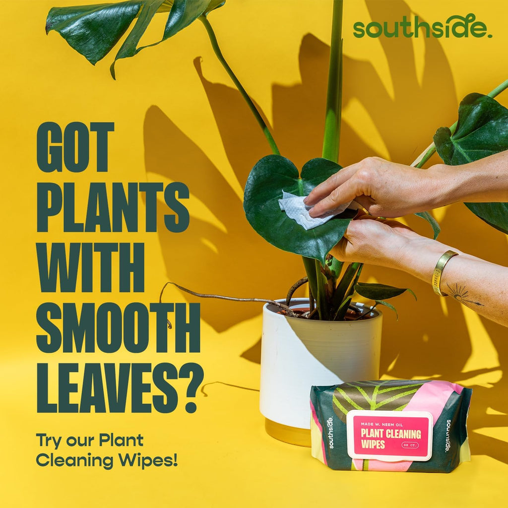 Southside Plant Cactus & Succulent Plants Cleaning Brushes - Wooden Handles w/Soft Goat Hair Bristles - Garden Cleaning Tools, Gentle on Plants, 7" & 3.2" Sizes - Pack of 2