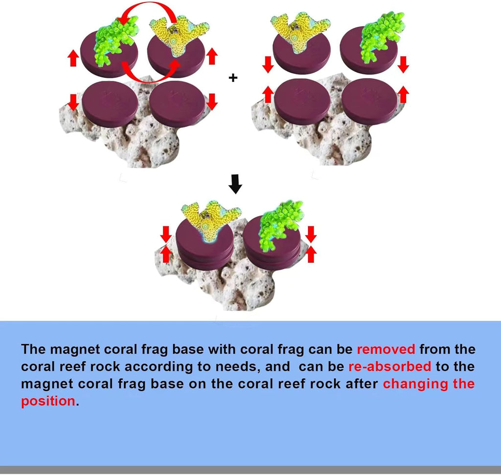 Coral Frag Magnetic Base and Plugs - Waterproof, Purple, Round 10-Piece Set