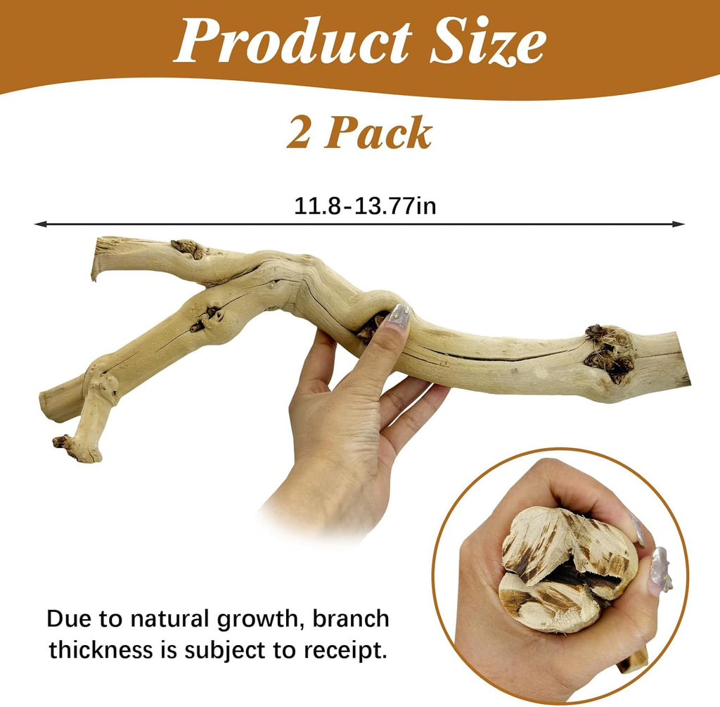 Reptile Branch Decor 2 Pack Snake Climbing Wood Branches Lizard Habitat Decorations Terrarium Natural Forest Tree Trunk Ornament for Bearded Dragon Geckos Chameleon Frog