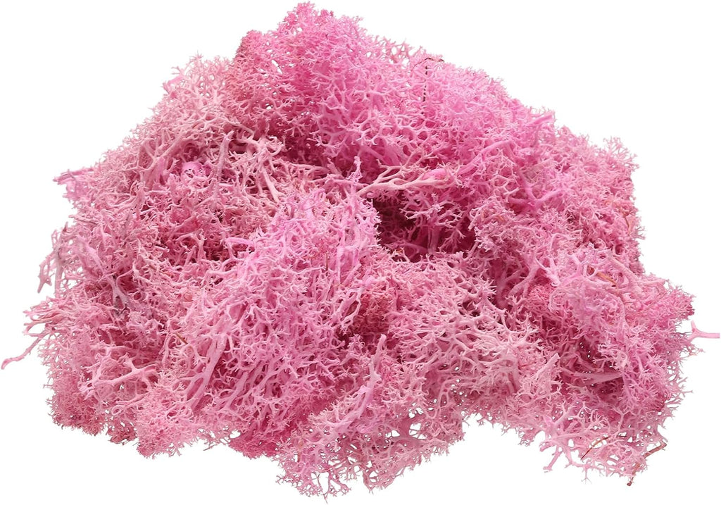 uxcell Preserved Reindeer Moss, 4 OZ Fake Moss for Crafts Artificial Dried Moss for Decoration, Craft, Terrariums, Potted Plants, Centerpieces Fairy Gardens (Rose Red)