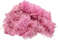 uxcell Preserved Reindeer Moss, 4 OZ Fake Moss for Crafts Artificial Dried Moss for Decoration, Craft, Terrariums, Potted Plants, Centerpieces Fairy Gardens (Rose Red)