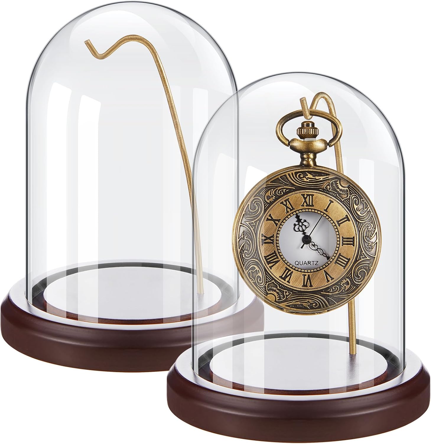 2 Pcs Pocket Watch Glass Display with Hooks Dome Cloche with Wood Base Decorative Glass Display Dome Showcase for Watch Plants Medals Photos Collectibles Dark MDF Base(3" X 5",Gold Hook)