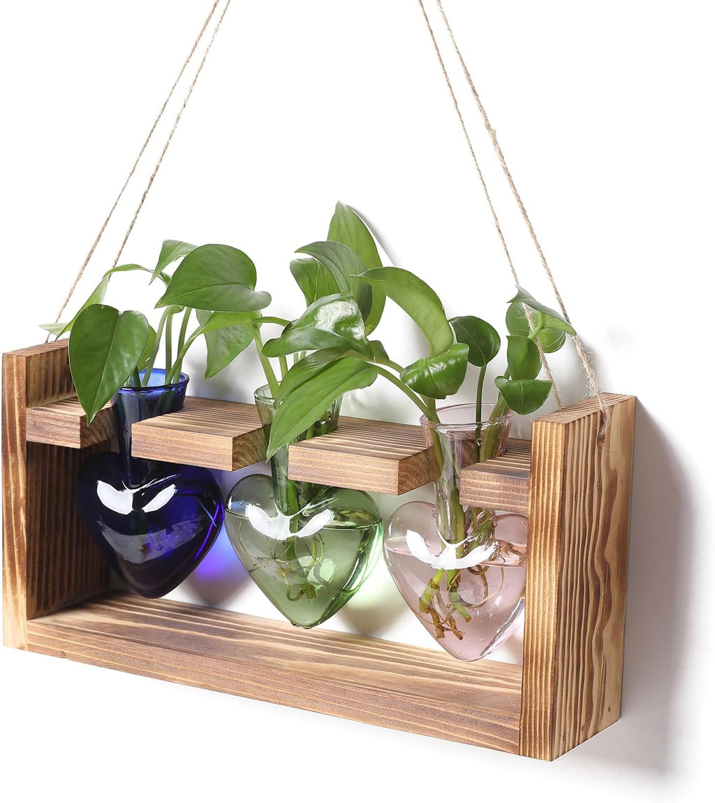 Plant Terrarium Propagation Stations Hydroponics Home Garden Decoration Gift for Women with Wooden Stand Heart Shaped Colored Glass Vase
