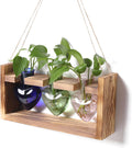 Plant Terrarium Propagation Stations Hydroponics Home Garden Decoration Gift for Women with Wooden Stand Heart Shaped Colored Glass Vase