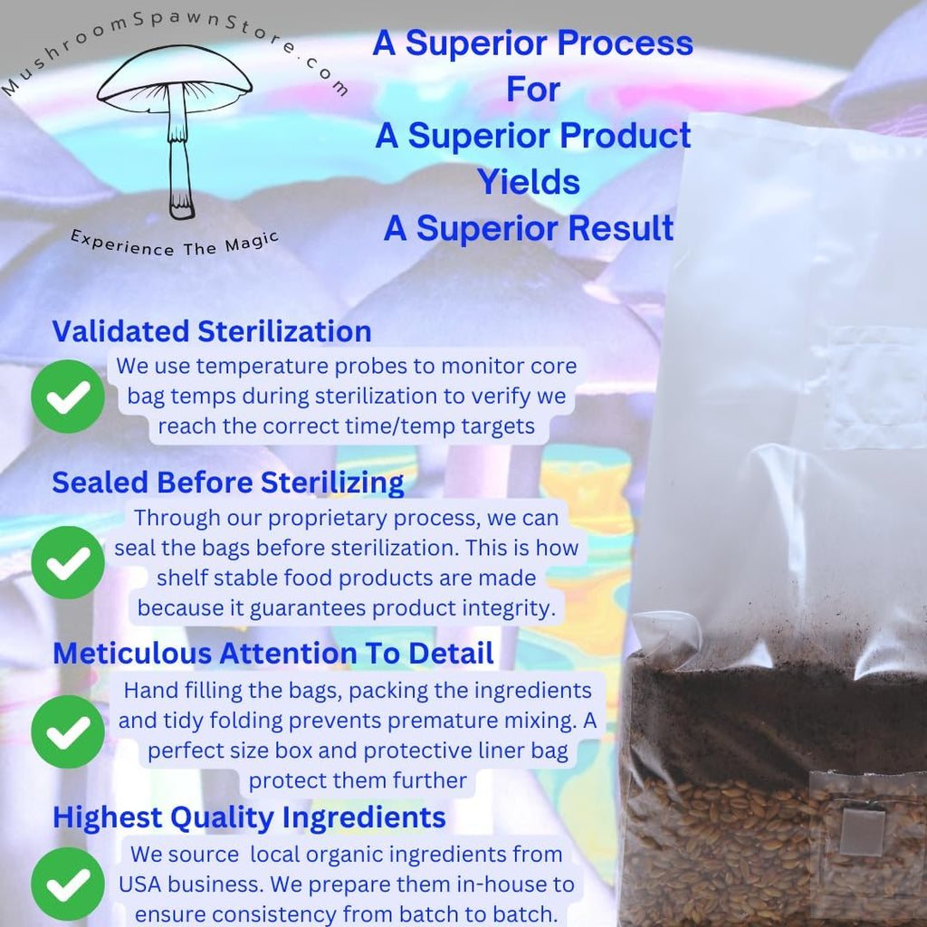 6 Pound Mushroom Grow Bag - All in One Grow Kit in A Bag - Sterilized Grain Spawn and Bulk Substrate - Injector Port - (Pack of 1)