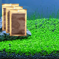 3 Pack Aquarium Plant S.e.e.d Set, not Artificial plasticl Plant. Real Grass Carpet for Fresh Water Fish Tank ZMMM998