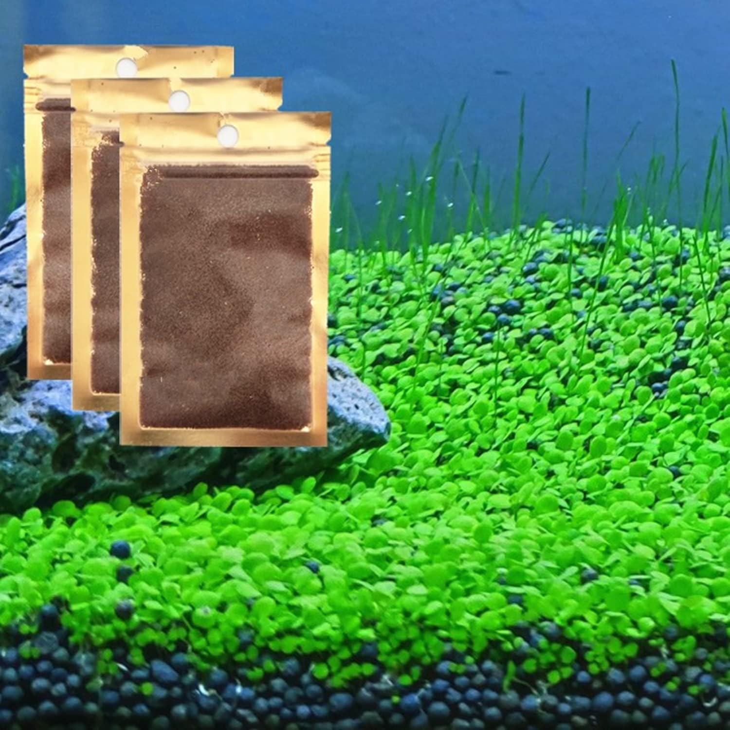 3 Pack Aquarium Plant S.e.e.d Set, not Artificial plasticl Plant. Real Grass Carpet for Fresh Water Fish Tank ZMMM998