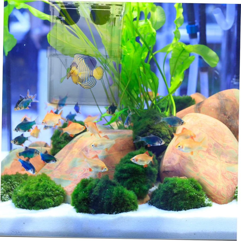Fish Breeding Box Set 2pcs Quarantine Tank Aquarium for Guppy Fry and Fish Specimen Color