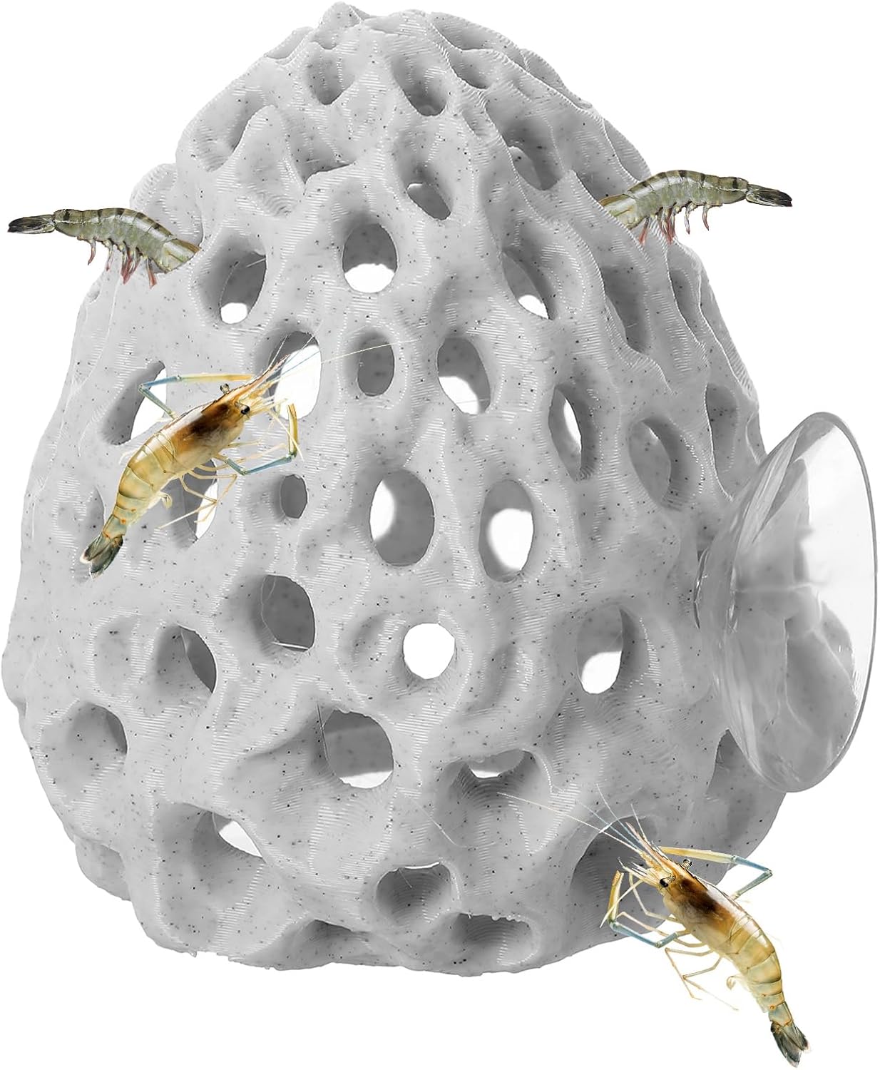 Shrimp Hide Aquarium Cherry Shrimp Hide with Suction Cup Betta Habitat Fish Tank Tunnel Aquarium Fish Cave Hideout Ornament Accessories for Shrimps Guppy Hiding Resting