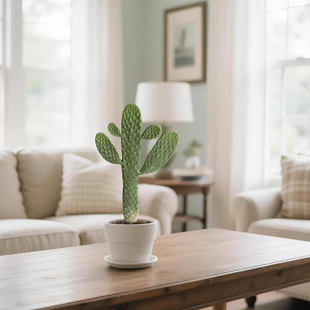 Artificial Cactus Potted Plant Faux Cacti 19 Inch Cactus Plant with Black Planter for Home Garden Office Decor Indoor Outdoor