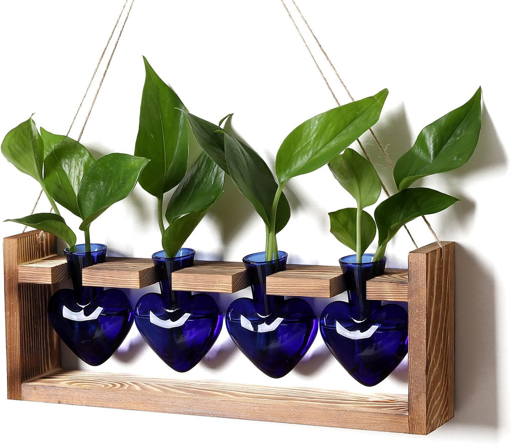 Heart Plant Terrarium Kit Gift for Women Plant Lover Glass Vases