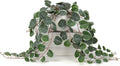 Briful Fake Plants Indoor 16'' Artificial String of Hearts Plants with Ceramic Pot Faux Draping Vine Plants for Home Bathroom Table Shelf Office Hotel Decor