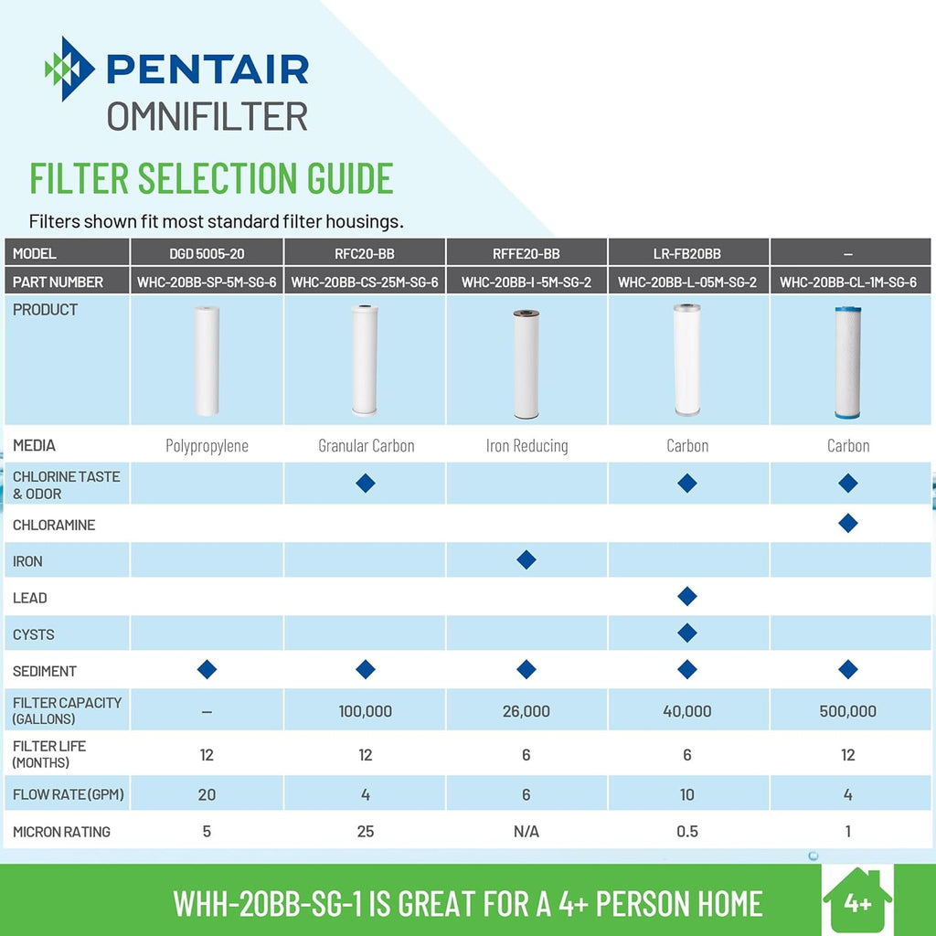 Pentair OMNIFilter Whole Home 20" Heavy-Duty Big Blue Water Filtration System with Pressure Relief, Black/Blue