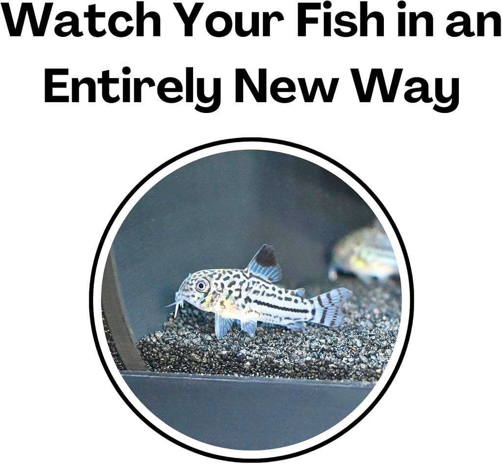 Aquarium Underground Two Hole Corner Cave | Viewing Fish & Shrimp Tunnel | Fish Tank Undergravel Hide Decor Decoration Hideout Perfect For Corydora Catfish, Kuhli Loach, Pleco, Betta Fish