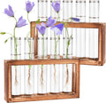 2pcs Desktop Glass Plant Propagation Station with 10 Test Tubes in Wooden Stand - Hydroponic Plants Cutting Office Home Decoration and Garden Decor Terrarium (10 Tubes)