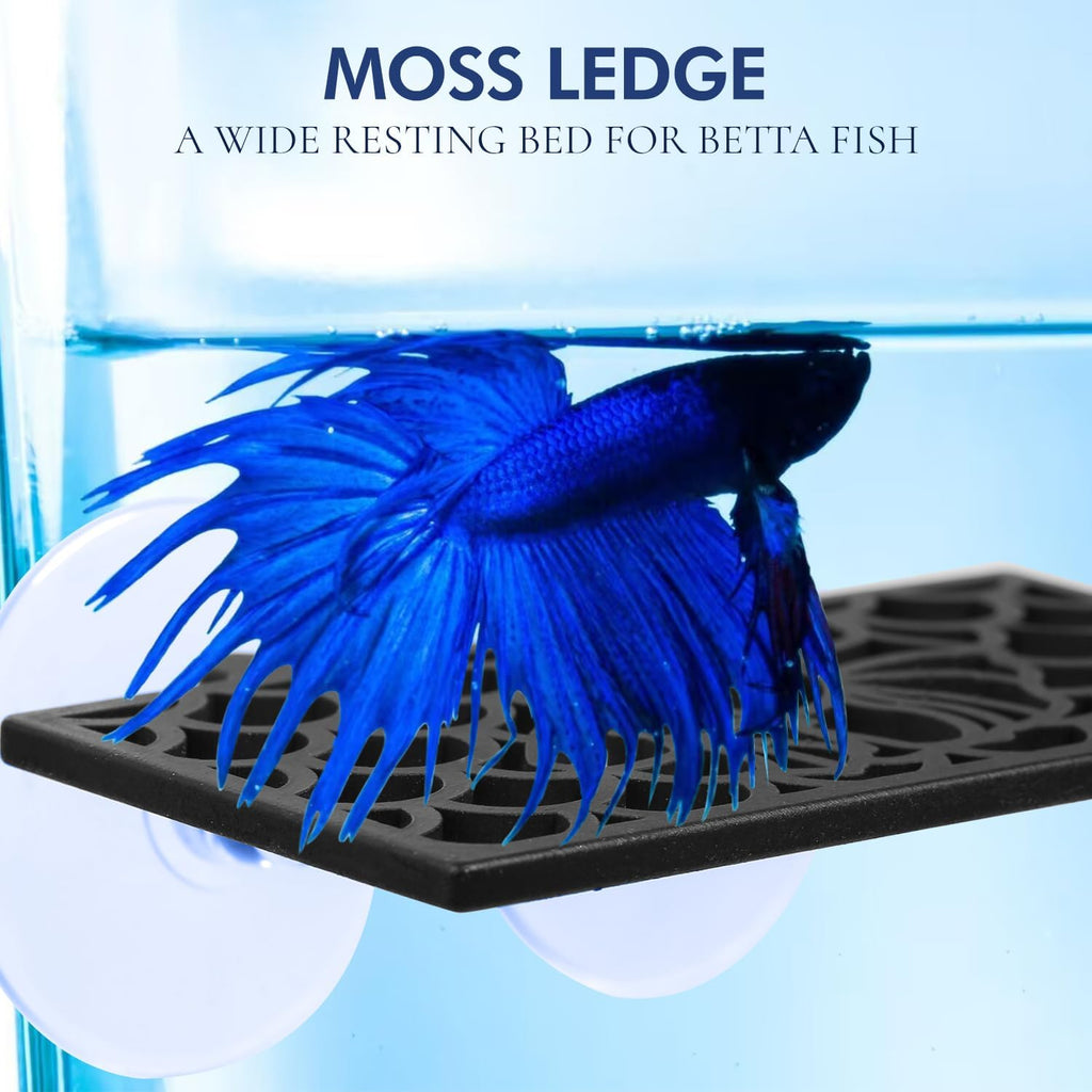 Abizoo Betta Fish Tank Accessories Decorations,Betta Tunnel Swim Tube Black Soft Edged Betta Hammock Bed, Shrimp Guppies Hideout Betta Shelter Toys, Aquarium Moss Ledge - Perfect for Betta Tanks