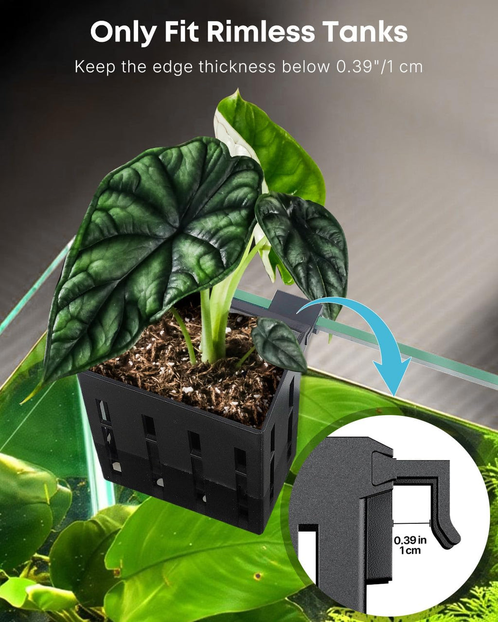 Pawfly 4 Pcs Black Aquarium Plant Holder, Hanging Plastic Fish Tank Plant Pot for Aquascape Decoration